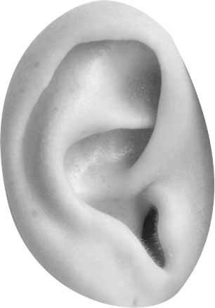 TA Ear