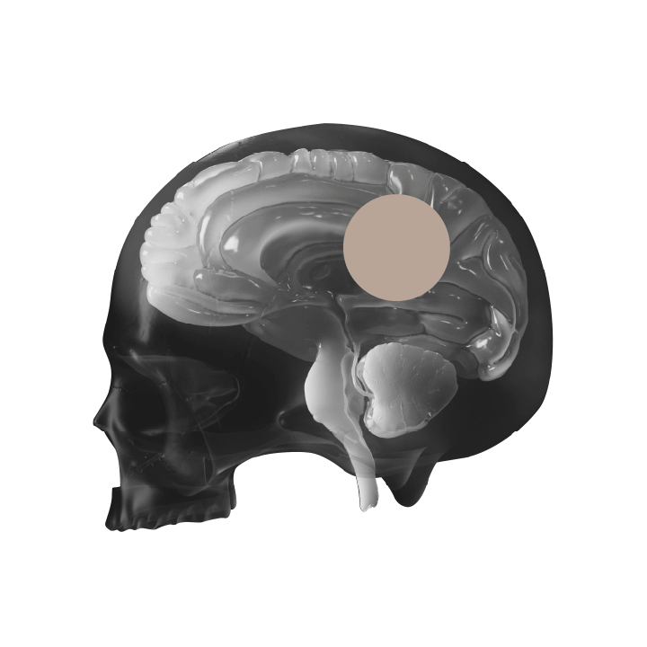 Grayscale image of a brain