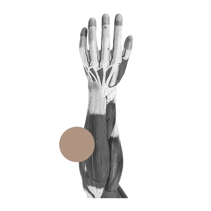 Image of injured arm